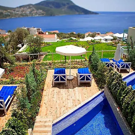 Kalkan Asfiya فندق